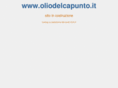 oliodelcapunto.com