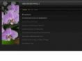 orchideenwelt.com