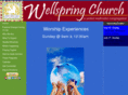 wellspringtampabay.org