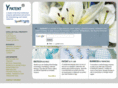 ypatent.com