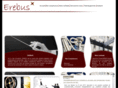 erebusconseil.com