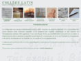 institutlatin.com