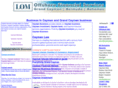 businessincayman.com
