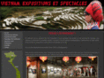 vietnam-expo-spectacle.com