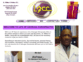lifegachiro.com