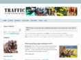 trafficint.org