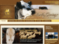 canadianherefords.com
