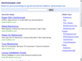 electronicpier.com