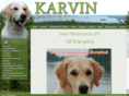 karvingoldens.com