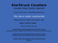 starstruck-cavaliers.com