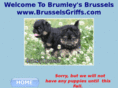 brusselsgriffs.com