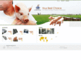 chinjung.com.tw