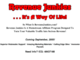 revenuejunkies.com