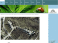 steeplechasemd.org