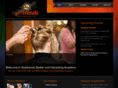 styletrendsacademy.com