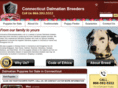 connecticutdalmatianbreeders.com