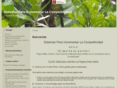 corporacionrv.com