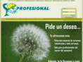 delfinprofesional.com