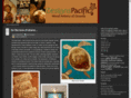 designspacific.com