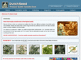 dutchseed.com