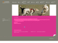 all4dogs-hochmoor.com
