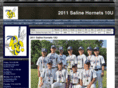 salinehornets01.com