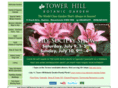 towerhillbg.org