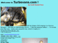 turbovans.com
