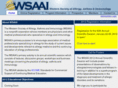 wsaai.com