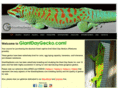 giantdaygecko.com