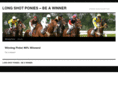 longshotponies.com