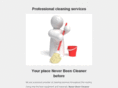 neverbeencleaner.com