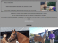 brandonridingacademy.com
