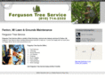 fergusontreeservice.com