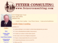 fetzerconsulting.com