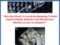 nichemarketingbusiness.com