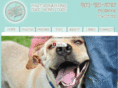 orlandopetphotographer.com
