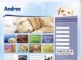 wincentivise.com