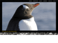 jonbrack.com