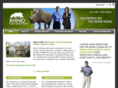 rhinoinspections.com