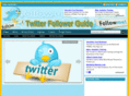 twitterfollowerguide.com