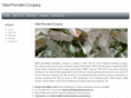 video-promotion-company.com