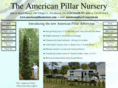 americanpillar.com