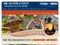 balihaitour.com