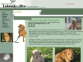 centralvalleylabradoodles.com