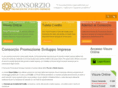 consorziopsi.it