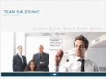 teamsalesinc.com