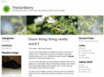thegeriberry.com