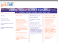 goldfish-ict.com