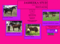 jasheeka.com